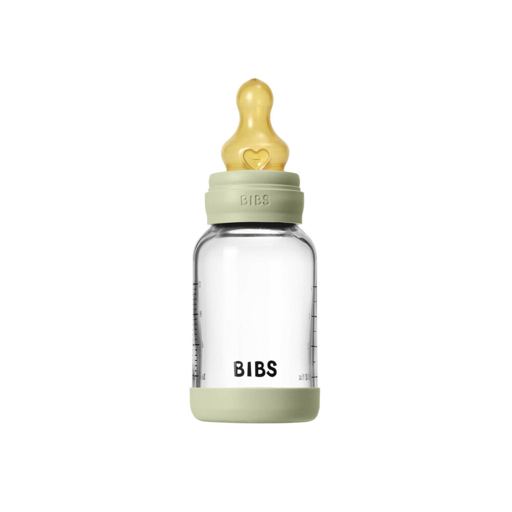 Bibs Babyfles Glas Complete Set Sage 120 ml
