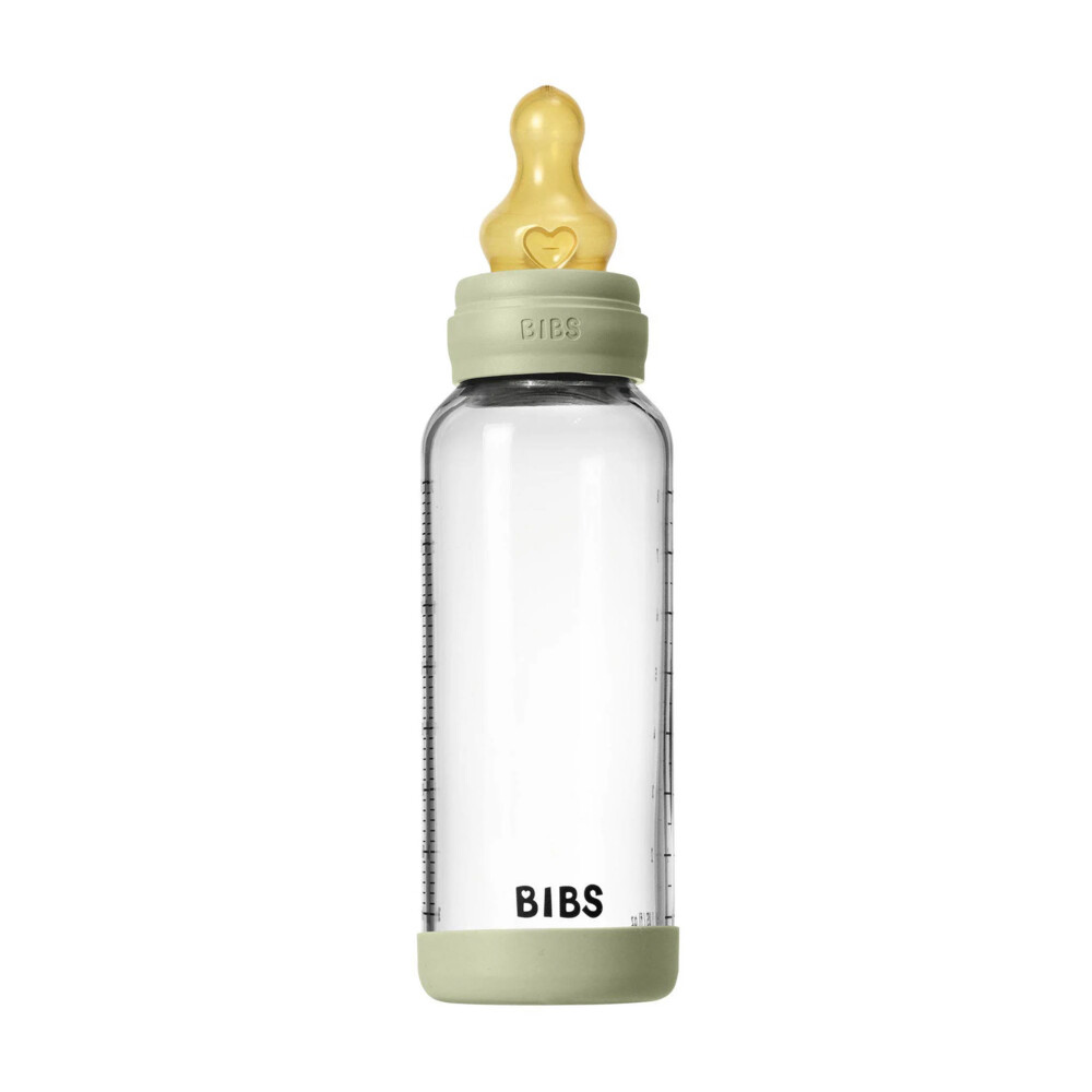 Bibs Babyfles Glas Complete Set Sage 240 Ml