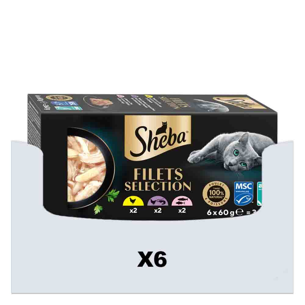 6x Sheba Kattenvoer Nat Filets Kip&Zalm in Saus Multipack 6x60 gr