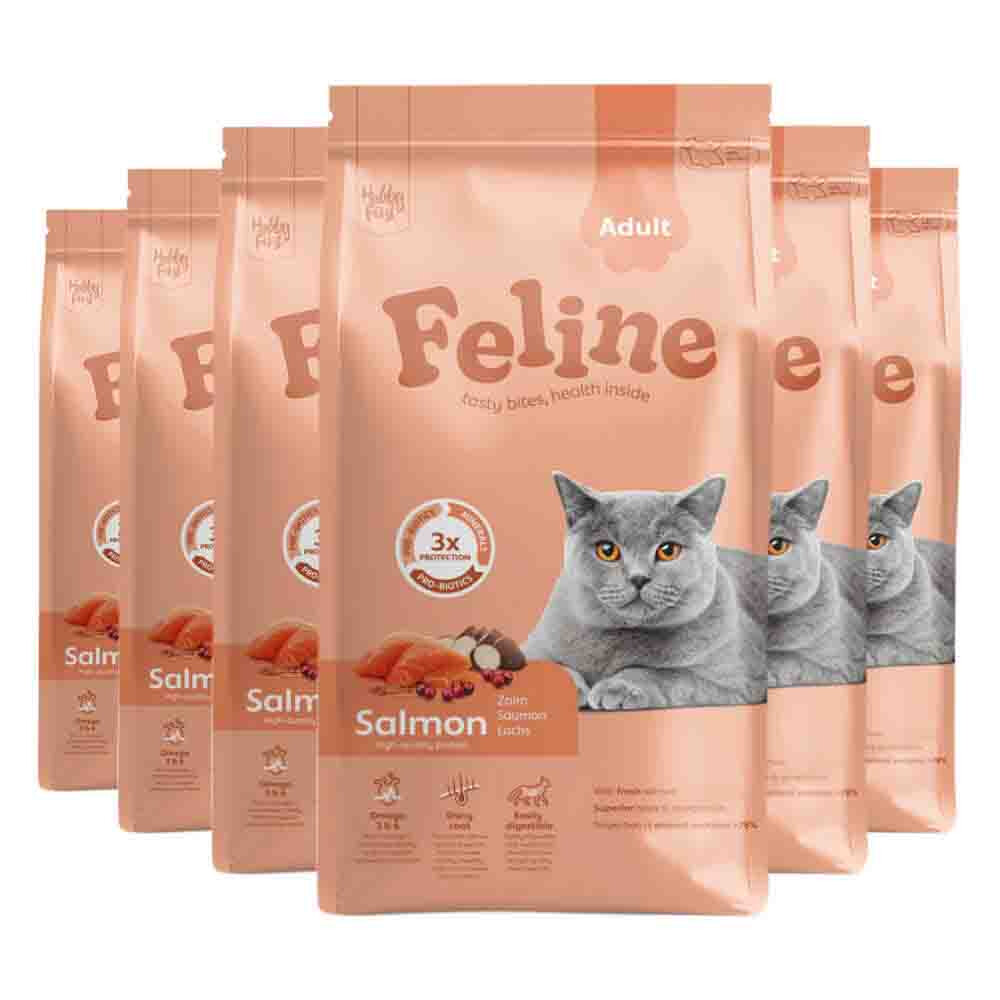 6x HobbyFirst Feline Kattenvoer Droog Adult Zalm 1,5 kg