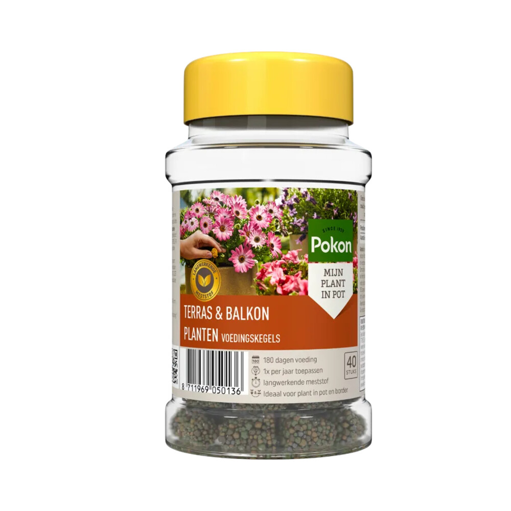 Pokon Voedingskegels Terras & Balkon Planten 40 stuks