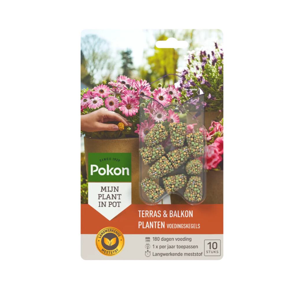 Pokon Terras & Balkon Planten Voedingskegels 10 Stuks