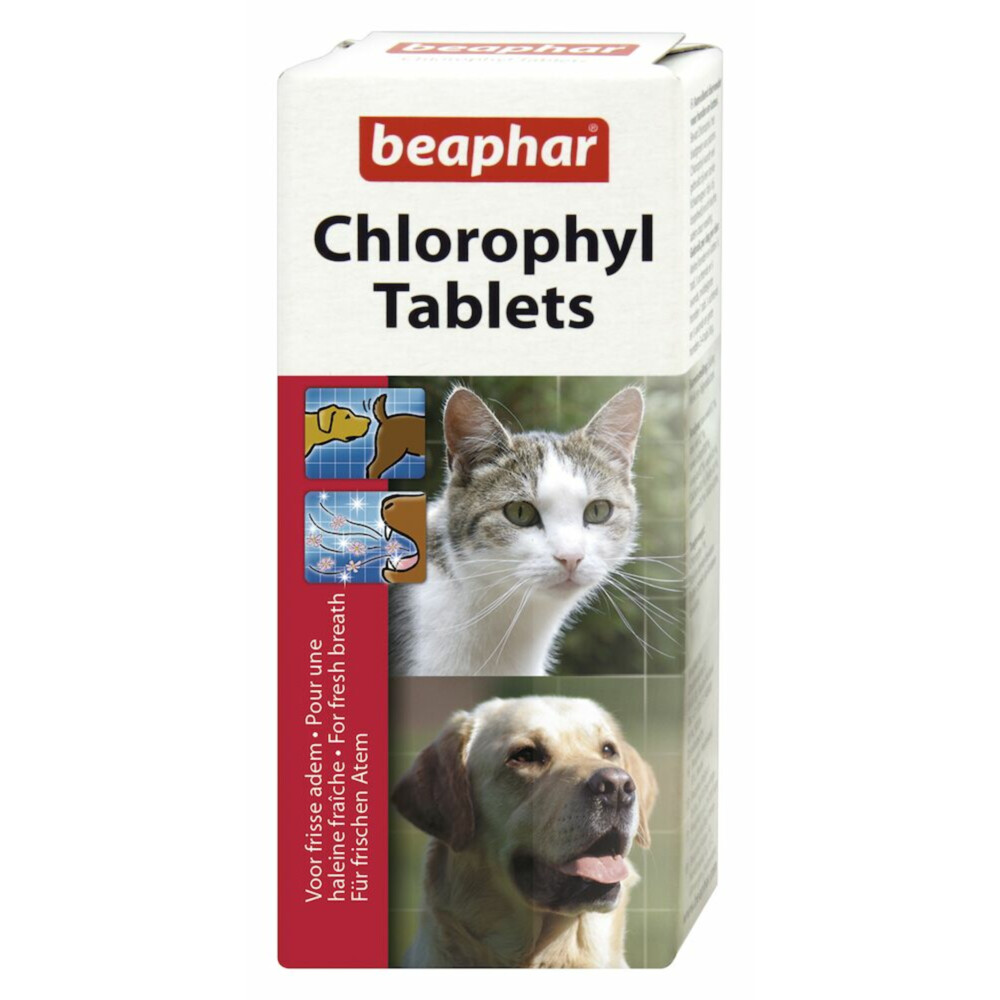 6x Beaphar Chlorophyl 30 Tabletten