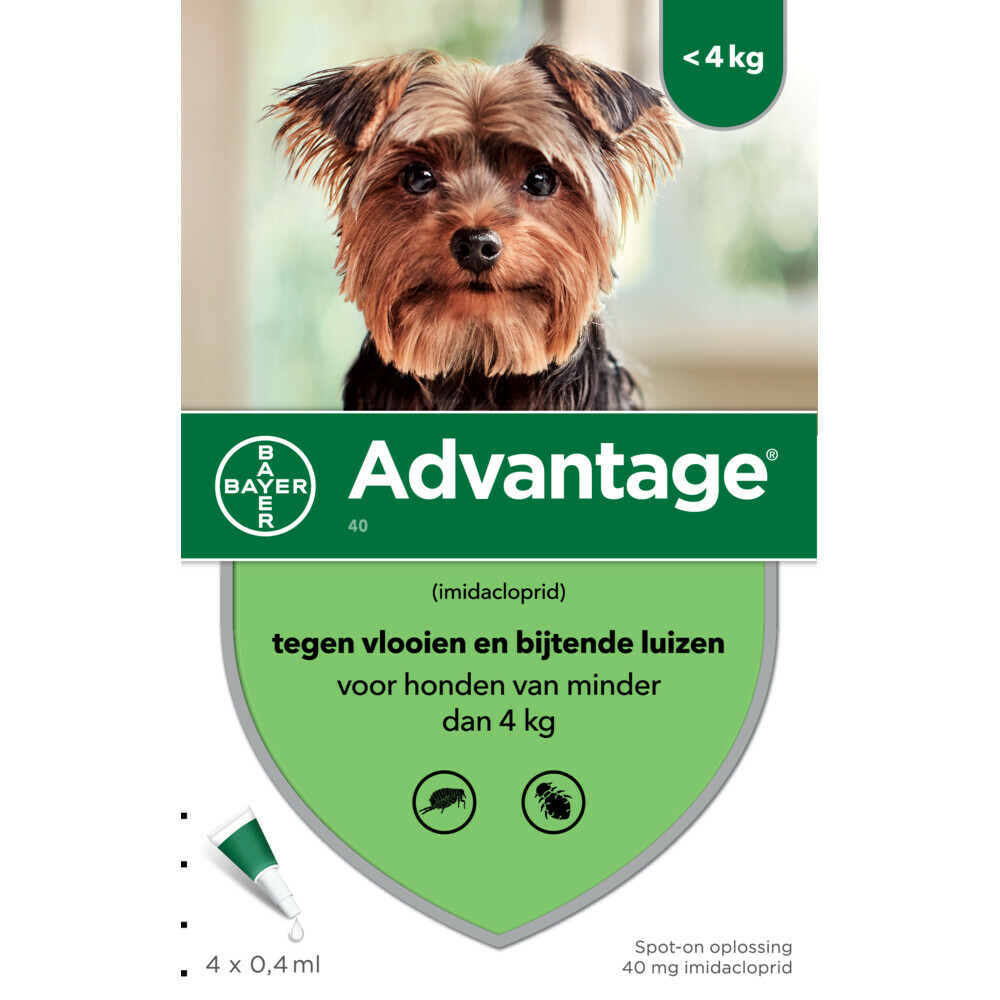 Toerist klei badge Advantage Anti Vlooiendruppels Hond 1,5 - 4 kg 4 pipetten 0,4 ml | Plein.nl