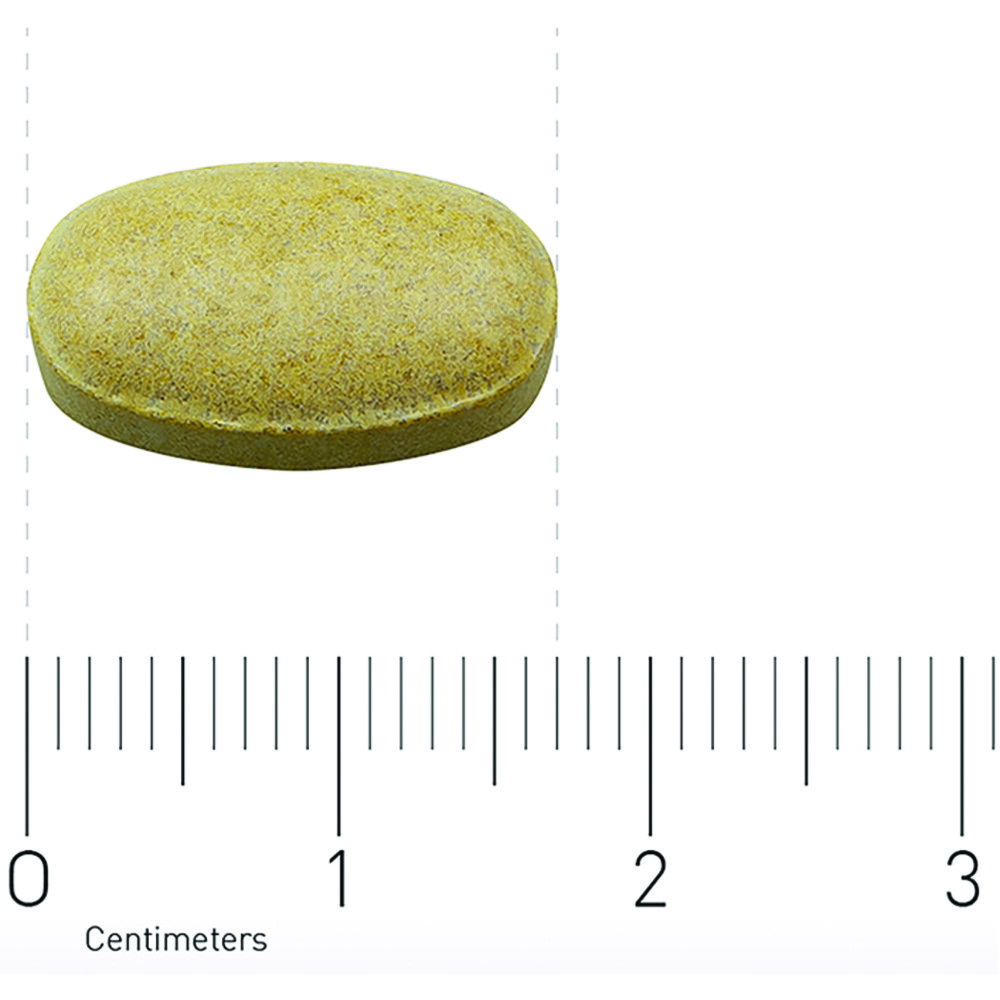 Orthica EsterC500 180 tabletten Plein.nl
