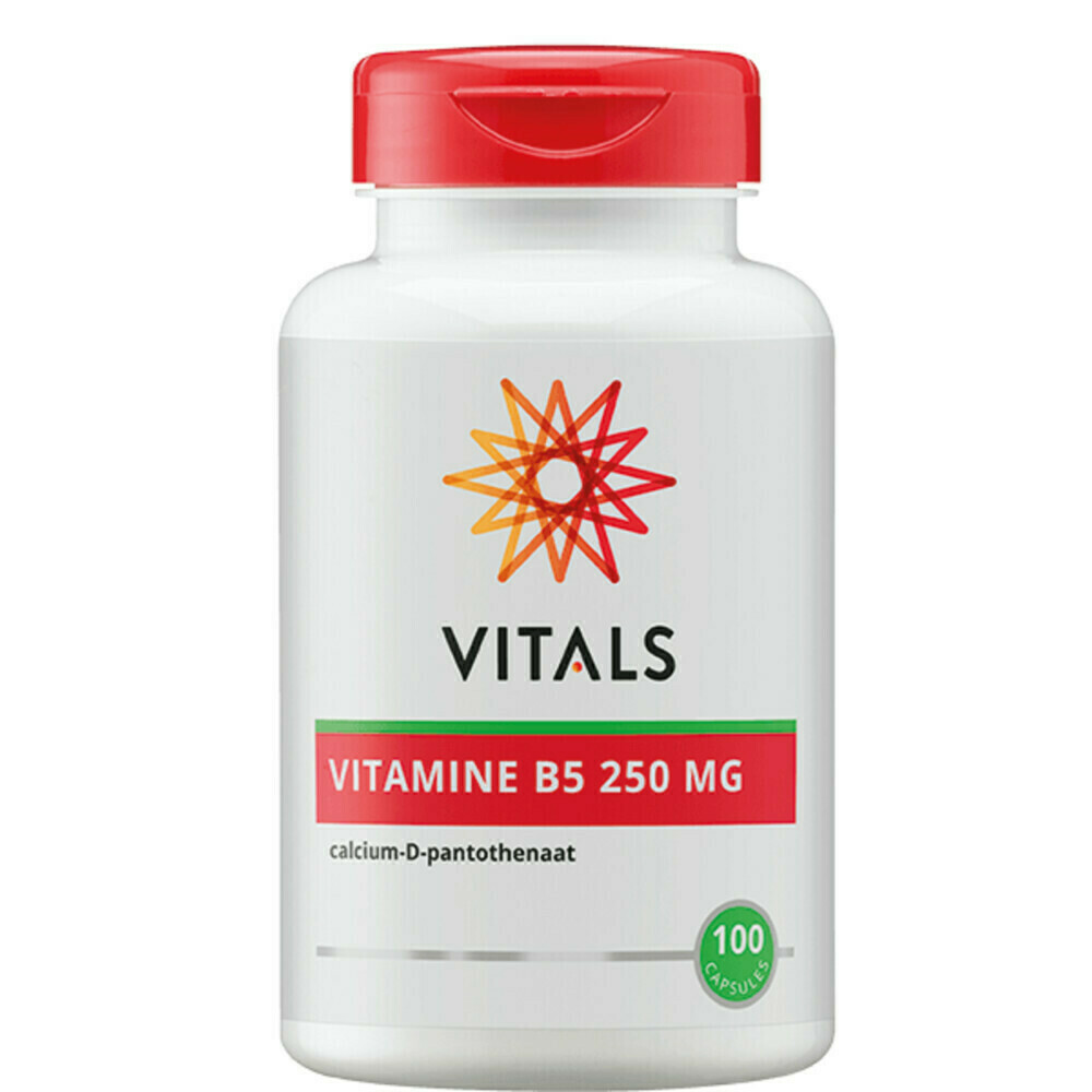 Vitals Vitamine B5 Pantoth 250mg 100tabl