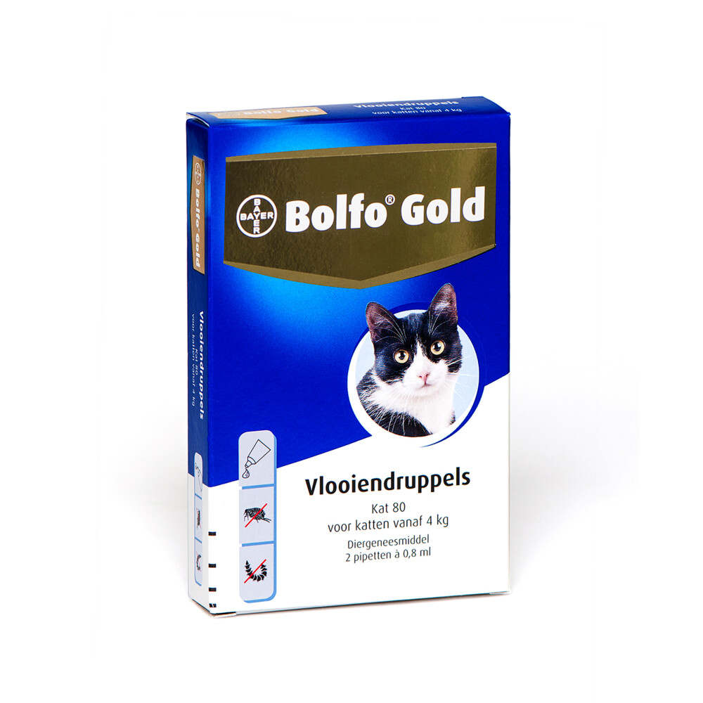 Hub schapen Accommodatie Bolfo Gold Kat Vlooiendruppels 80 4 pipetten | Plein.nl