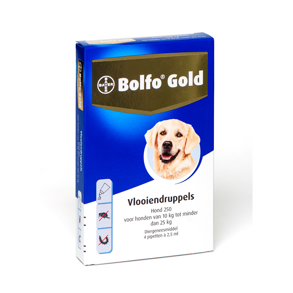 Bolfo 250 4 pipet gold hond vlooiendruppels