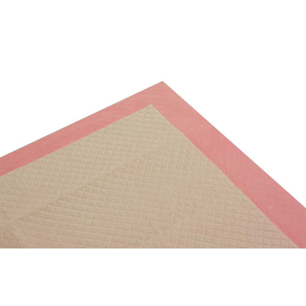 Posh Puppy Training Pads 60 x 60 cm 60 stuks Plein.nl