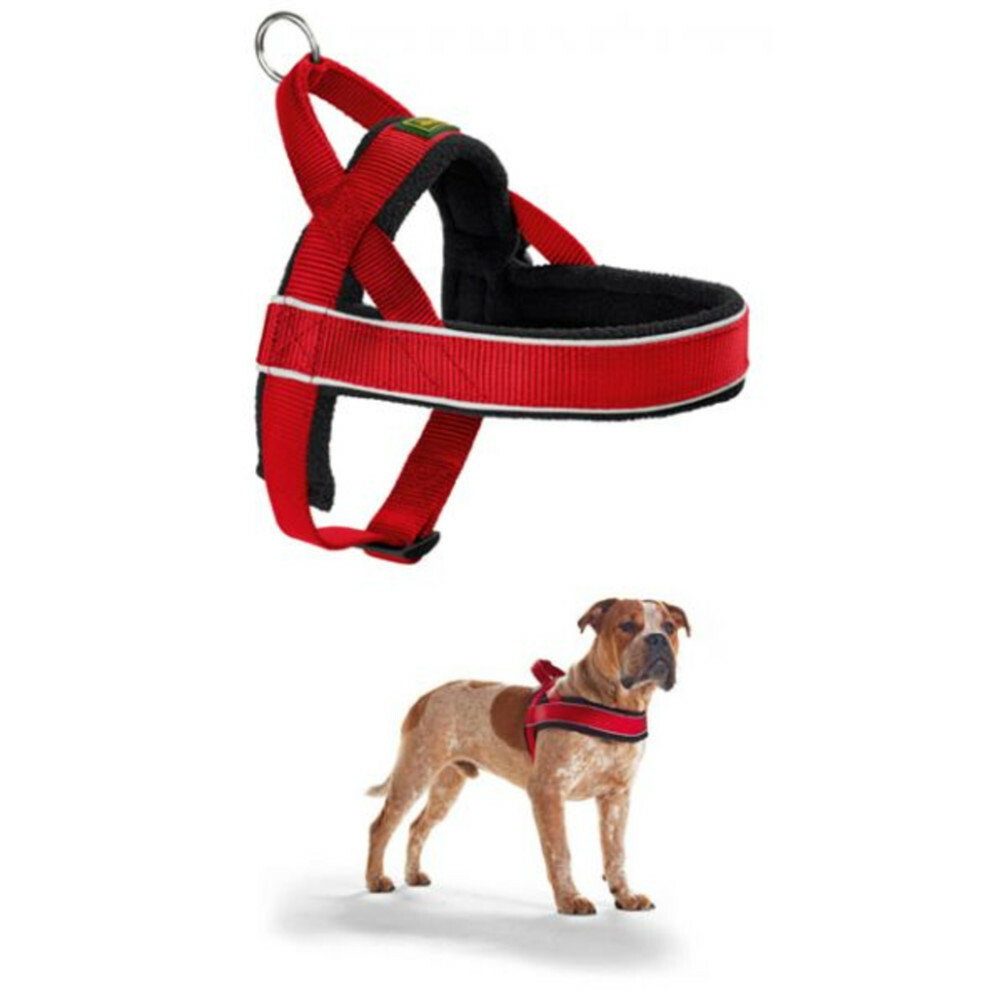 Hunter Hondentuig Norweger Racing Rood S Plein.nl