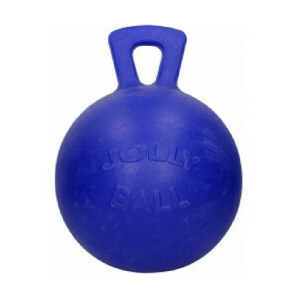 Jolly Pets Ball Hond en Paard Blauw 20 cm Plein.nl Jolly Pets Ball Hond en Paard Blauw 20 cm Plein.nl