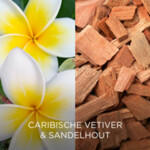 Air Wick Navulling Botanica Caribische Vetiver & Sandelhout - 4.29 euro