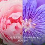 Air Wick Kamerspray Botanica Oosterse Geranium & Rozen - 5.99 euro