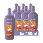 6x Andrelon Shampoo Glans