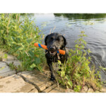 Chuckit Ultra Fetch Stick - 8.95 euro