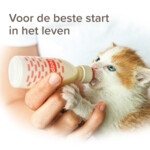 Beaphar Lactol Melk Kitten 250 gr