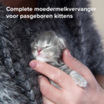 Beaphar Lactol Melk Kitten 250 gr