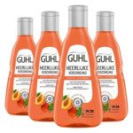 Plein <b>4x</b> Guhl Shampoo Heerlijke Verzorging aanbieding