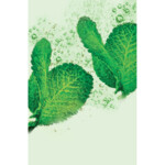 Garnier Fructis Compressed Droogshampoo Mint Fresh - 7.93 euro