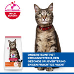 Hill's Science Plan Kattenvoer Adult Lam 1,5 kg