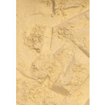 Deli Nature Start + High Protein 500 gr