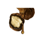 Guhl Fascinerend Bruin - Shampoo 1x 250 ml & Conditioner 1x 200 ml - Pakket - 11.83 euro