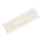 Zenner Haarclip met parels - 3.49 euro