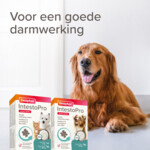 Beaphar IntestoPro Kat - Hond tot 20 kg 20 tabletten