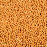 Deli Nature Millet Geel - 20.39 euro