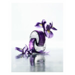 Bvlgari Omnia Amethyste Eau de Toilette Spray - 78.99 euro
