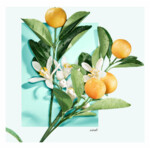 Tiffany & Co Love Her Eau de Parfum Spray - 57.64 euro