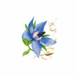 Guhl Nature Repair Intensief Herstellend Haarmasker - 9.67 euro