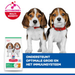 Hill's Science Plan Hondenvoer Droog Medium Puppyvoer Kip 14 kg