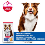 Hill's Science Plan Hondenvoer DroogMedium Mature Adult Kip 14 kg