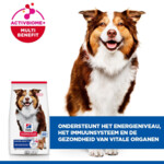 Hill's Science Plan Hondenvoer Droog Medium Mature Adult Lam - Rijst 14 kg