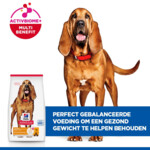 Hill's Science Plan Hondenvoer Droog Light Mature Adult Medium Kip 14 kg