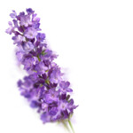 Kneipp Badkristallen Relaxing Lavendel - 12.49 euro