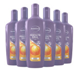 6x Andrelon Shampoo Perfecte Krul  300 ml