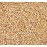 Deli Nature Witzaad - Kanariezaad - 35.85 euro