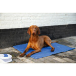 Beeztees Koelmat Quick Cooler Izi  Blauw - 19.99 euro