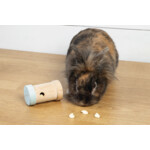 Beeztees Snackroller Yumzi  Hout - Mint - 5.49 euro