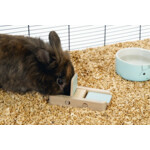 Beeztees Braingame Dorix Hout - Mint - 8.99 euro