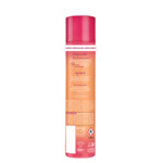 6x L'Oréal Elvive Dream Lengths Dry Shampoo - 28.76 euro
