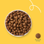 Yarrah Bio Hondenvoer Senior Kip 10 kg