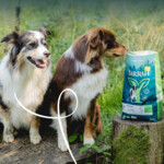 Yarrah Biologisch Hondenvoer Vegan 10 kg