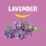 Happy Earth 100% Natuurlijke Deodorant Balm Lavender - 7.65 euro