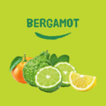 Happy Earth 100% Natuurlijke Deodorant Balm Bergamot - 8.99 euro