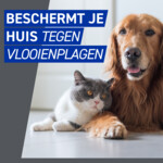 Frontline Homegard Anti Vlooien Omgevingsspray - 18.49 euro