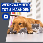Frontline Homegard Anti Vlooien Omgevingsspray - 18.49 euro