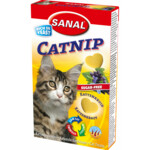 Sanal Kat Catnip